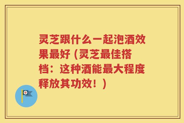灵芝跟什么一起泡酒效果最好 (灵芝最佳搭档：这种酒能最大程度释放其功效！)