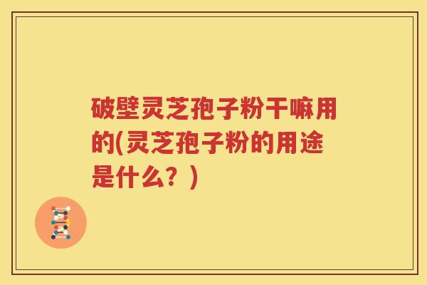破壁灵芝孢子粉干嘛用的(灵芝孢子粉的用途是什么？)