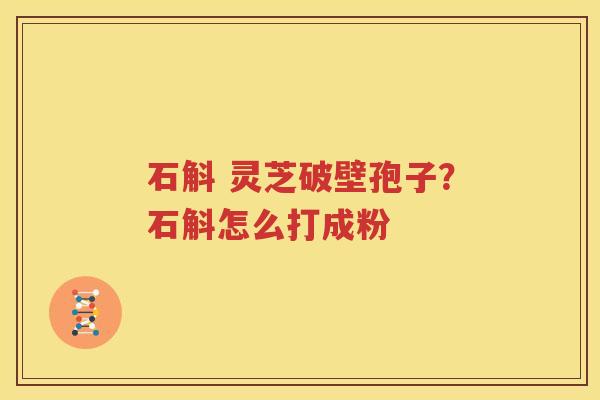 石斛 灵芝破壁孢子？石斛怎么打成粉