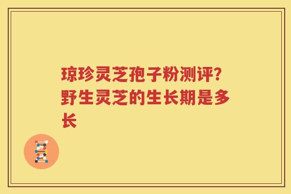 琼珍灵芝孢子粉测评？野生灵芝的生长期是多长