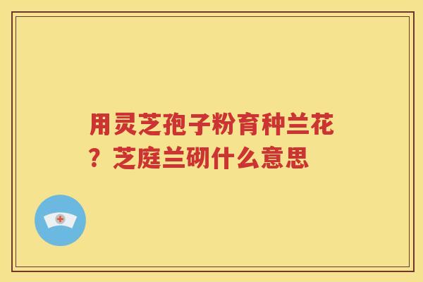 用灵芝孢子粉育种兰花？芝庭兰砌什么意思