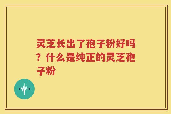 灵芝长出了孢子粉好吗？什么是纯正的灵芝孢子粉