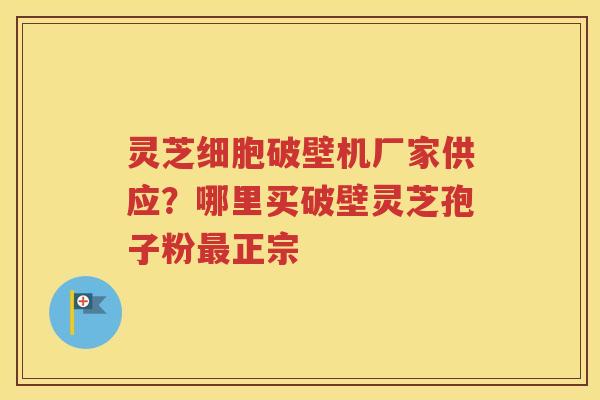 灵芝细胞破壁机厂家供应？哪里买破壁灵芝孢子粉最正宗
