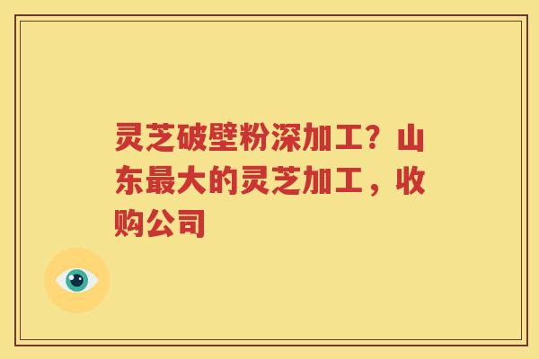 灵芝破壁粉深加工？山东最大的灵芝加工，收购公司