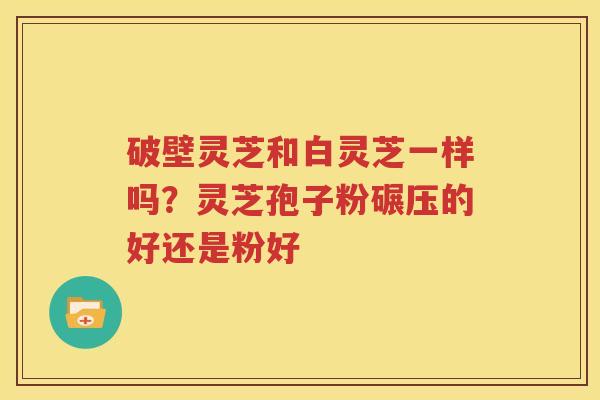 破壁灵芝和白灵芝一样吗？灵芝孢子粉碾压的好还是粉好