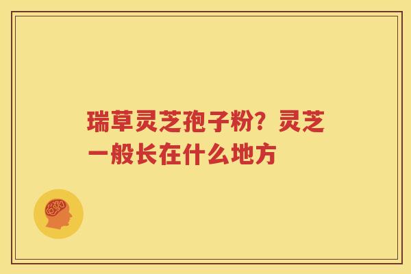 瑞草灵芝孢子粉？灵芝一般长在什么地方