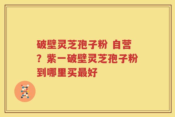 破壁灵芝孢子粉 自营？紫一破壁灵芝孢子粉到哪里买最好