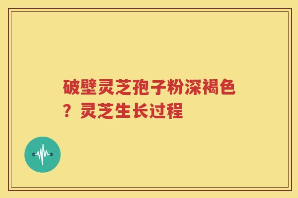 破壁灵芝孢子粉深褐色？灵芝生长过程