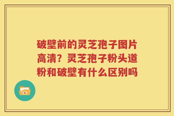 破壁前的灵芝孢子图片高清？灵芝孢子粉头道粉和破壁有什么区别吗