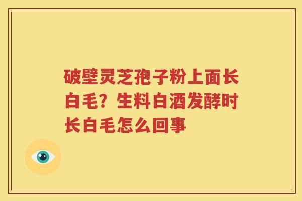 破壁灵芝孢子粉上面长白毛？生料白酒发酵时长白毛怎么回事
