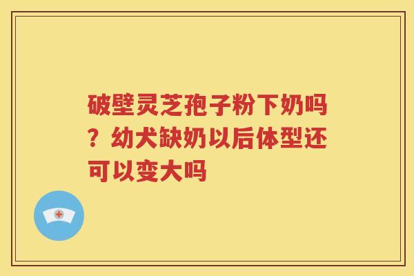 破壁灵芝孢子粉下奶吗？幼犬缺奶以后体型还可以变大吗