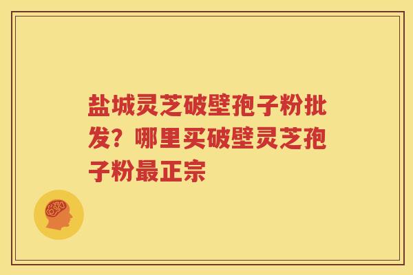 盐城灵芝破壁孢子粉批发？哪里买破壁灵芝孢子粉最正宗