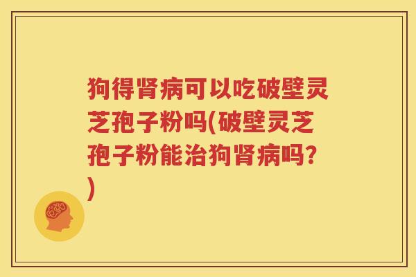 狗得肾病可以吃破壁灵芝孢子粉吗(破壁灵芝孢子粉能治狗肾病吗？)