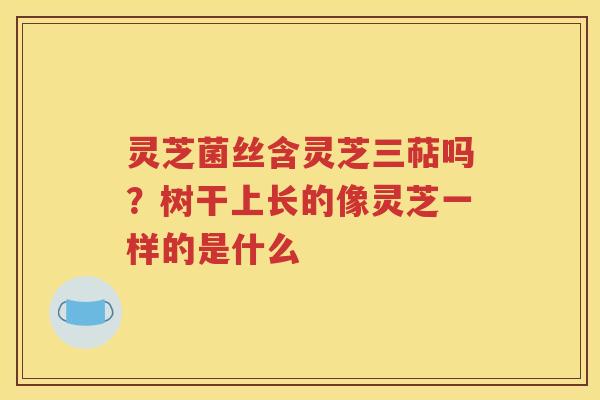 灵芝菌丝含灵芝三萜吗？树干上长的像灵芝一样的是什么