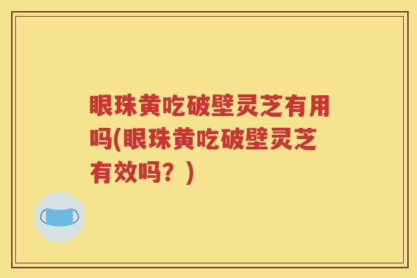 眼珠黄吃破壁灵芝有用吗(眼珠黄吃破壁灵芝有效吗？)