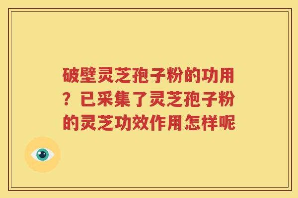 破壁灵芝孢子粉的功用？已采集了灵芝孢子粉的灵芝功效作用怎样呢