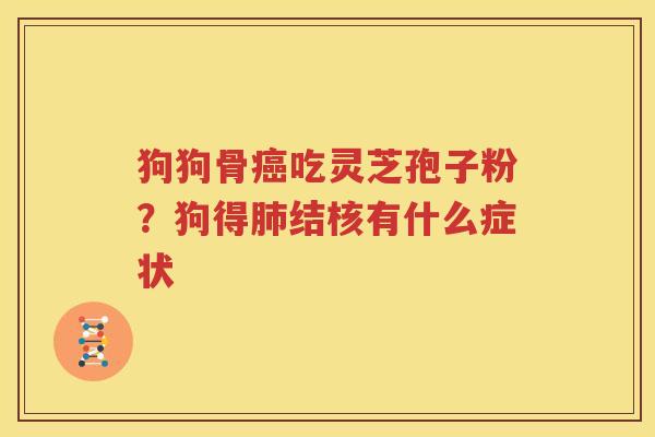 狗狗骨癌吃灵芝孢子粉？狗得肺结核有什么症状