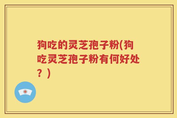 狗吃的灵芝孢子粉(狗吃灵芝孢子粉有何好处？)