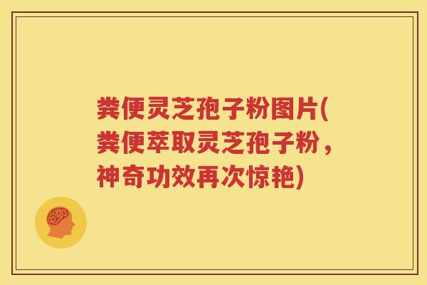 粪便灵芝孢子粉图片(粪便萃取灵芝孢子粉，神奇功效再次惊艳)