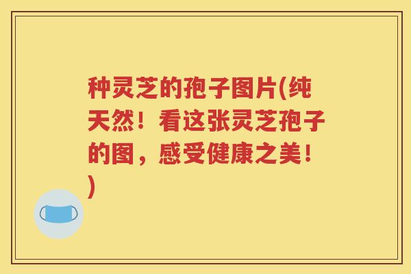 种灵芝的孢子图片(纯天然！看这张灵芝孢子的图，感受健康之美！)