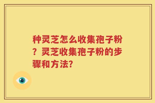 种灵芝怎么收集孢子粉？灵芝收集孢子粉的步骤和方法？