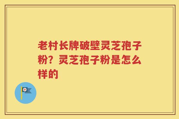 老村长牌破壁灵芝孢子粉？灵芝孢子粉是怎么样的
