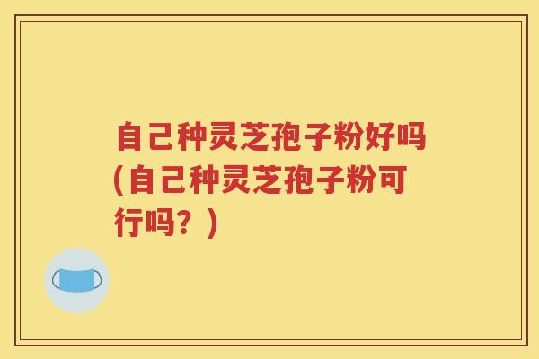 自己种灵芝孢子粉好吗(自己种灵芝孢子粉可行吗？)