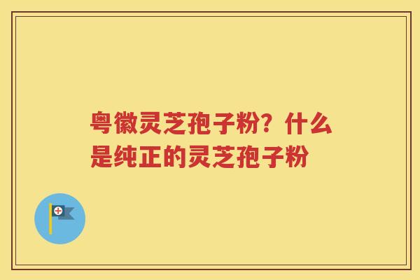 粤徽灵芝孢子粉？什么是纯正的灵芝孢子粉