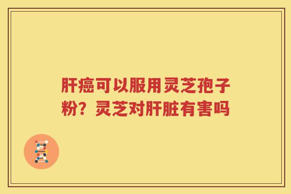 肝癌可以服用灵芝孢子粉？灵芝对肝脏有害吗