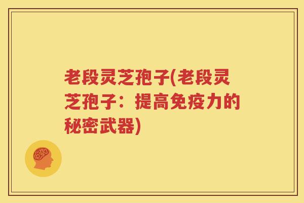 老段灵芝孢子(老段灵芝孢子：提高免疫力的秘密武器)