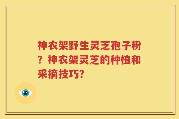 神农架野生灵芝孢子粉？神农架灵芝的种植和采摘技巧？