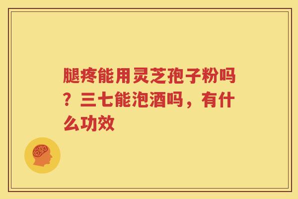 腿疼能用灵芝孢子粉吗？三七能泡酒吗，有什么功效