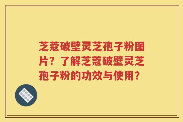 芝蔻破壁灵芝孢子粉图片？了解芝蔻破壁灵芝孢子粉的功效与使用？