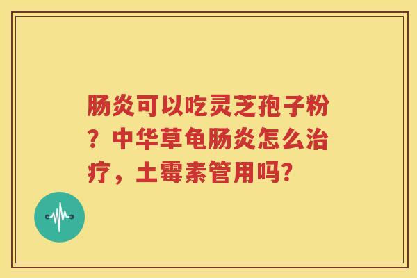 肠炎可以吃灵芝孢子粉？中华草龟肠炎怎么治疗，土霉素管用吗？