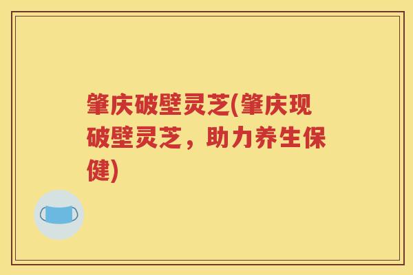 肇庆破壁灵芝(肇庆现破壁灵芝，助力养生保健)