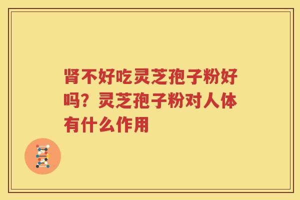 肾不好吃灵芝孢子粉好吗？灵芝孢子粉对人体有什么作用