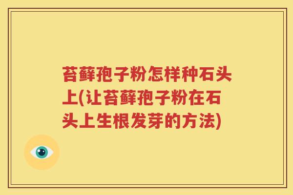 苔藓孢子粉怎样种石头上(让苔藓孢子粉在石头上生根发芽的方法)