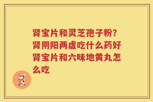 肾宝片和灵芝孢子粉？肾阴阳两虚吃什么药好肾宝片和六味地黄丸怎么吃