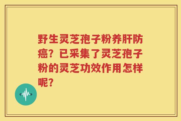 野生灵芝孢子粉养肝防癌？已采集了灵芝孢子粉的灵芝功效作用怎样呢？