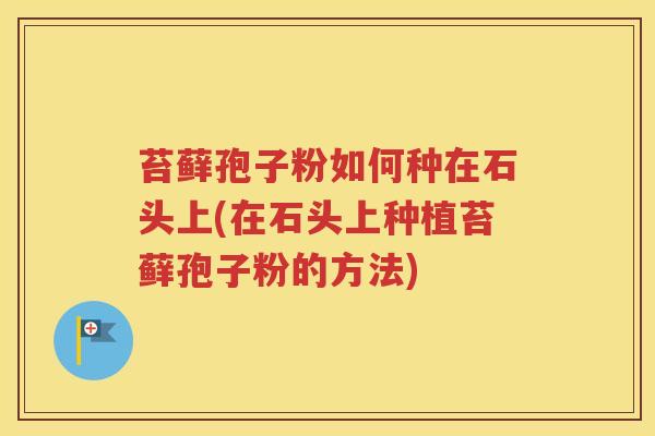 苔藓孢子粉如何种在石头上(在石头上种植苔藓孢子粉的方法)
