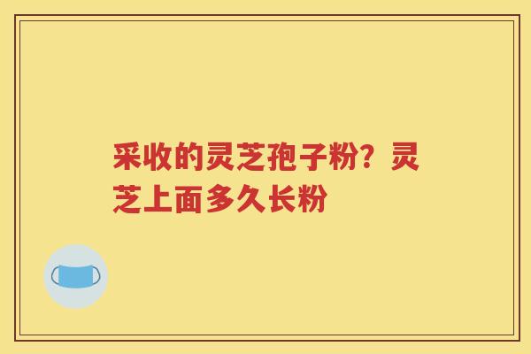 采收的灵芝孢子粉？灵芝上面多久长粉