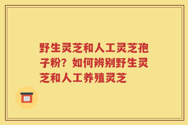 野生灵芝和人工灵芝孢子粉？如何辨别野生灵芝和人工养殖灵芝