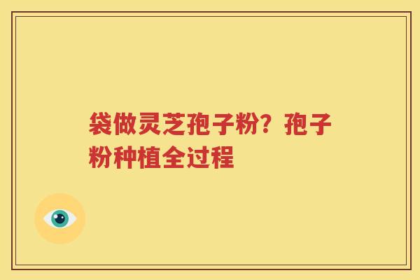 袋做灵芝孢子粉？孢子粉种植全过程