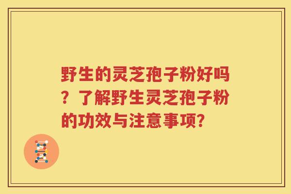 野生的灵芝孢子粉好吗？了解野生灵芝孢子粉的功效与注意事项？