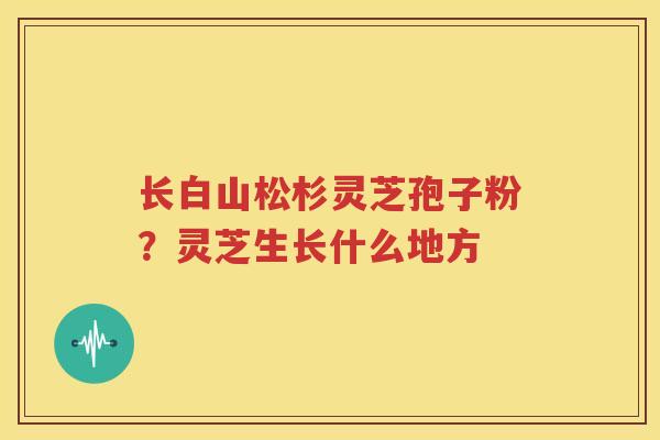 长白山松杉灵芝孢子粉？灵芝生长什么地方