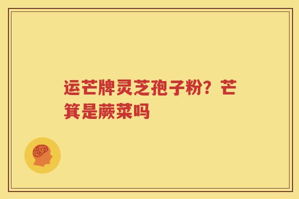 运芒牌灵芝孢子粉？芒箕是蕨菜吗