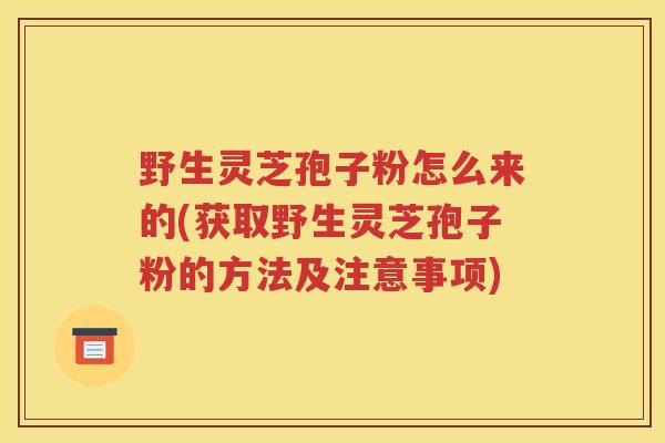 野生灵芝孢子粉怎么来的(获取野生灵芝孢子粉的方法及注意事项)