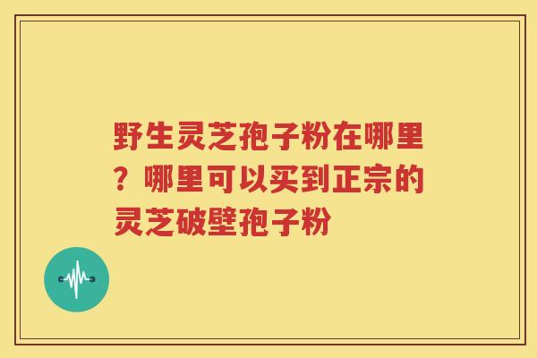 野生灵芝孢子粉在哪里？哪里可以买到正宗的灵芝破壁孢子粉