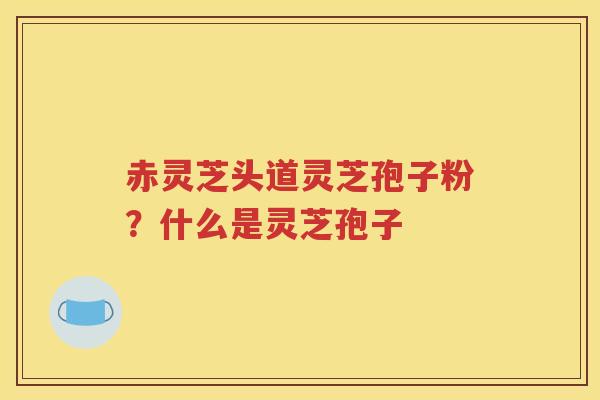 赤灵芝头道灵芝孢子粉？什么是灵芝孢子