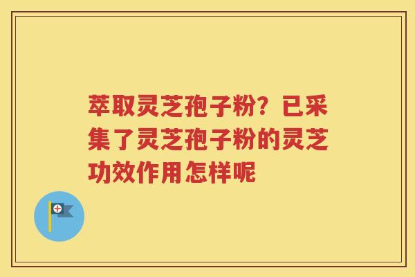萃取灵芝孢子粉？已采集了灵芝孢子粉的灵芝功效作用怎样呢